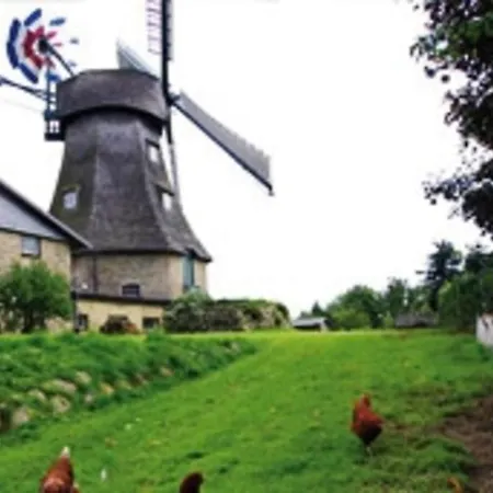Dat Friedabacker Hus - Lutte Deern - #12854 Lejlighed